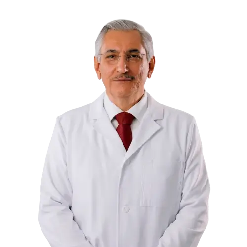 Ing. Martín Ramirez